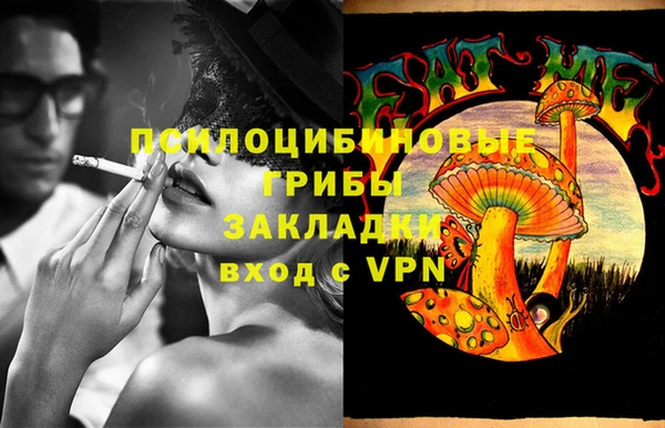 ПСИЛОЦИБИНОВЫЕ ГРИБЫ Коряжма