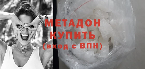 шишки Корсаков