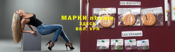 шишки Корсаков