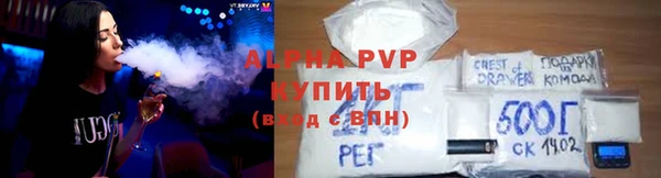 гашик Козельск