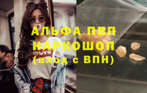 шишки Корсаков