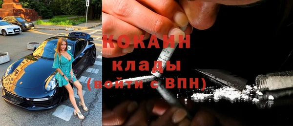 сатива Кукмор