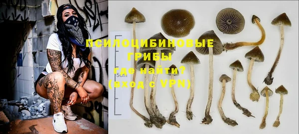 шишки Корсаков