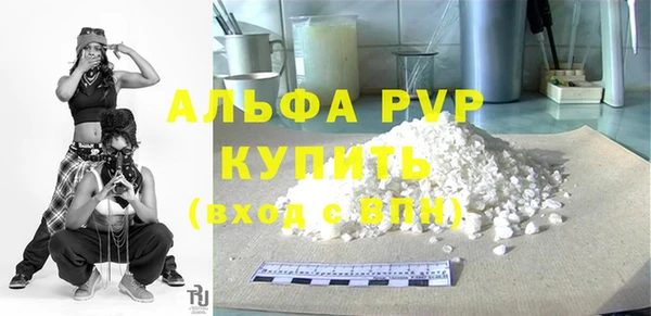 сатива Кукмор