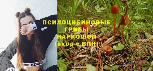 шишки Корсаков