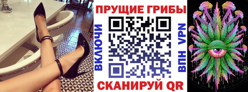 Купить закладки  Заинск  Псилоцибиновые грибы мухоморы 