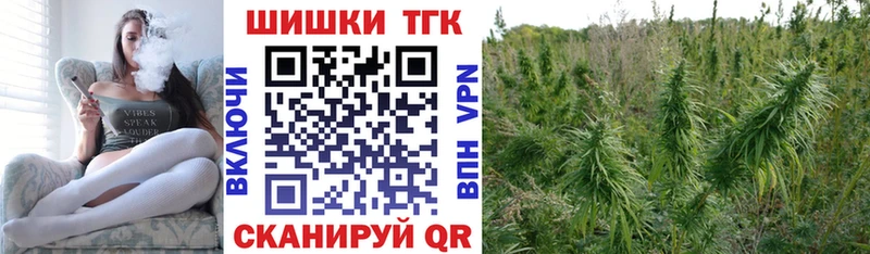 Канабис сатива  Купить закладки  Заинск 